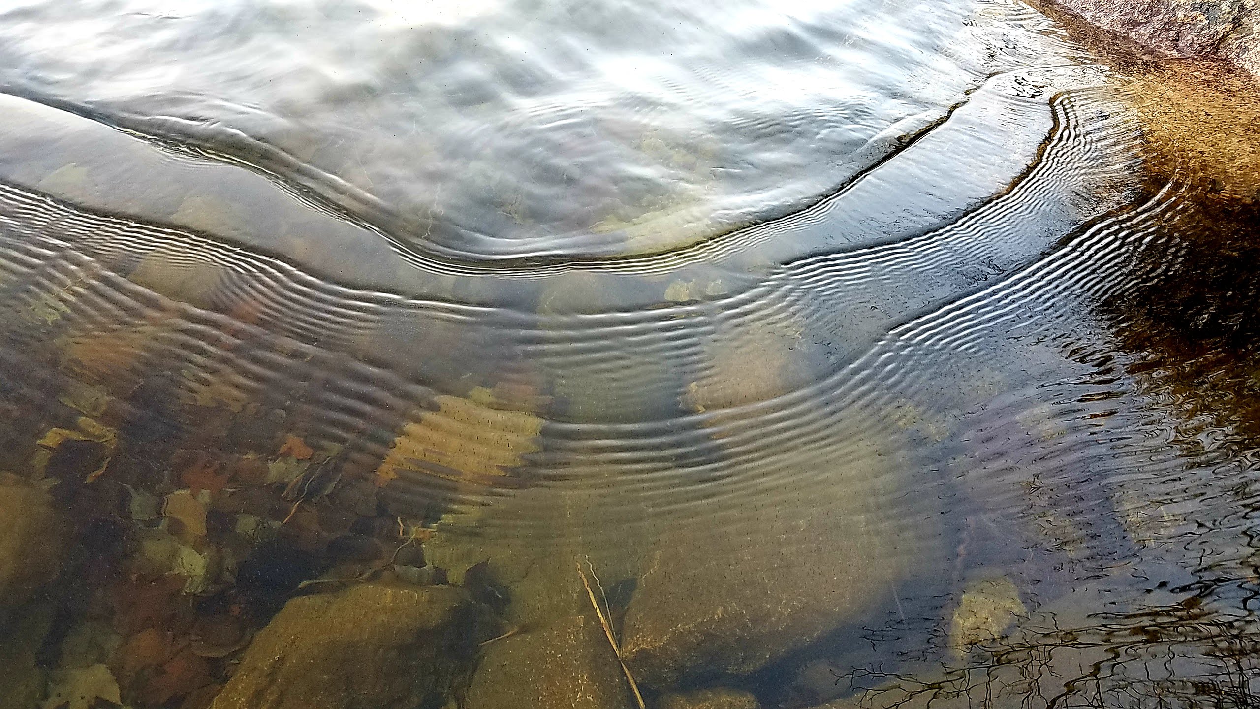 20191213_Echo-Lake-ice-edge-water-ripples