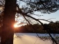20181207_sunset-over-SP-inlet-pine-silhouette-vertical