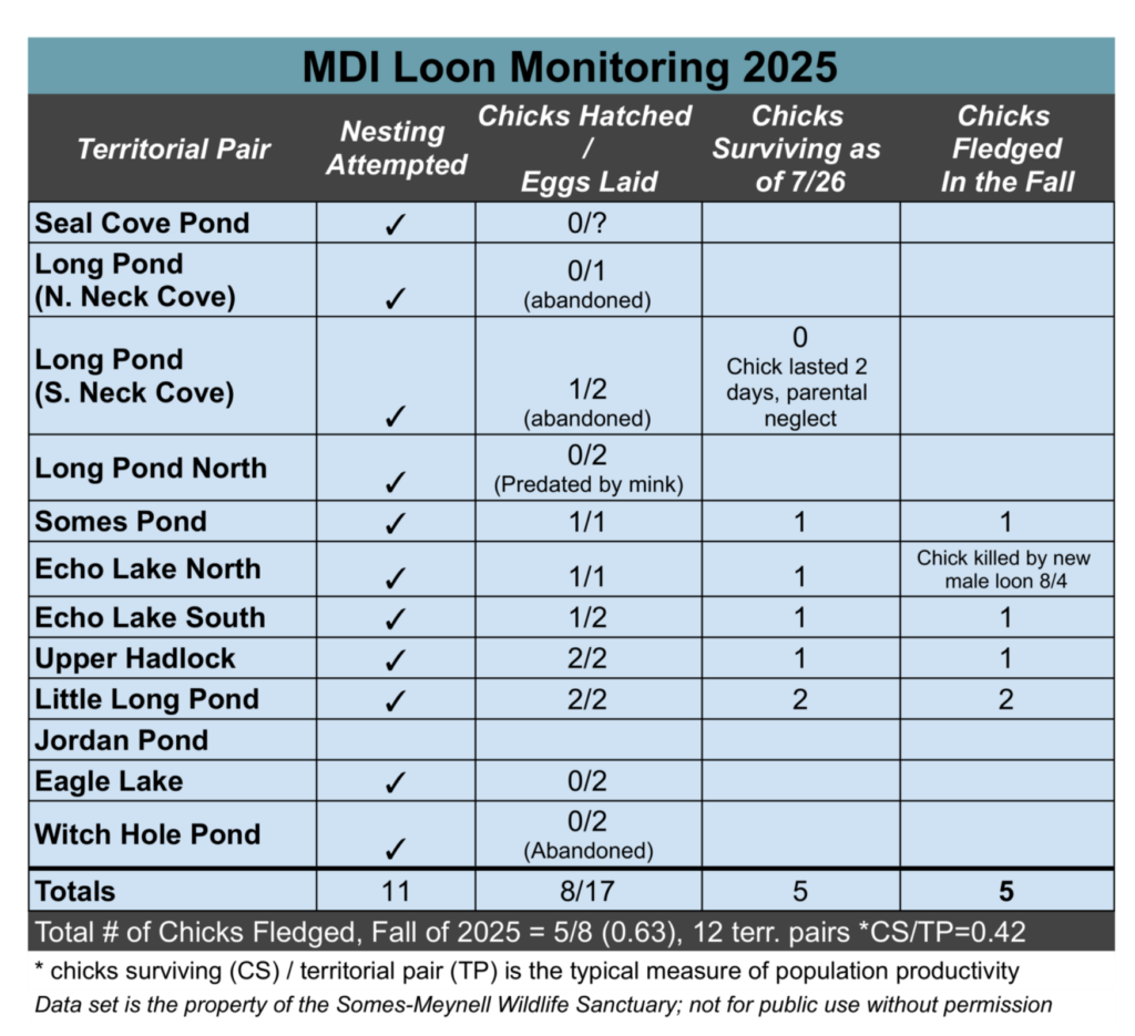 2025 MDI Loon Monitoring Results